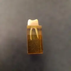 2026年最新】根管の人気アイテム - メルカリ