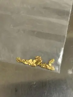 2026年最新】砂金ナゲットの人気アイテム - メルカリ