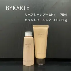 2026年最新】バイカルテ トリートメント hsの人気アイテム - メルカリ