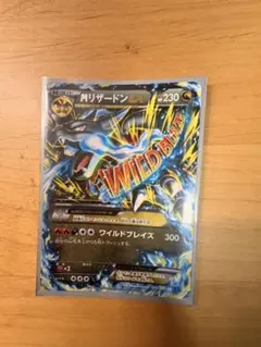 MリザードンEX RR XY2 ワイルドブレイズ 055/080 - メルカリ