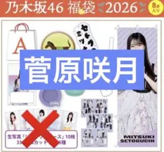 2026年最新】乃木坂 ペンライト 福袋の人気アイテム - メルカリ