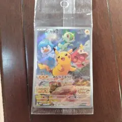 m91357595818_1.jpg?1770361528