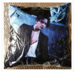 2026年最新】登坂広臣 クッションの人気アイテム - メルカリ