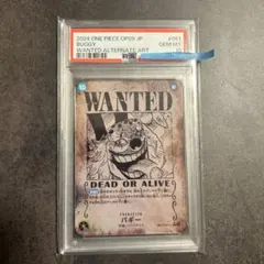 2026年最新】バギー 手配書 psa10の人気アイテム - メルカリ