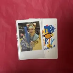 2026年最新】パンダドラゴン ハピカ チェキの人気アイテム - メルカリ