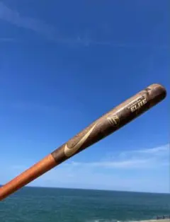 2026年最新】鳥谷 バットの人気アイテム - メルカリ