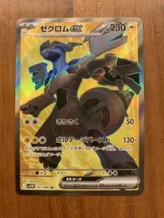 2026年最新】ゼクロム ex srの人気アイテム - メルカリ