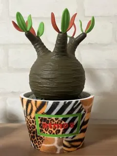 2026年最新】medicom toy グラキリスの人気アイテム - メルカリ