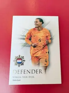 2026年最新】ファンダイク カードの人気アイテム - メルカリ