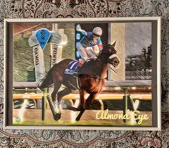 2026年最新】シュヴァルグラン サインの人気アイテム - メルカリ