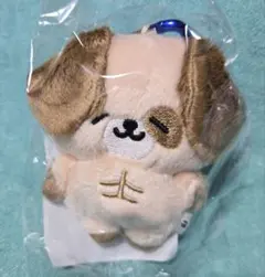 2026年最新】ドンヘ ぬいぐるみの人気アイテム - メルカリ