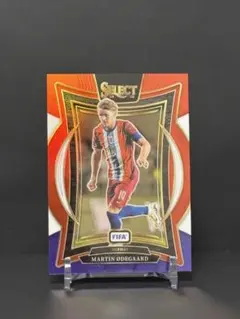 2026年最新】ウーデゴール カードの人気アイテム - メルカリ