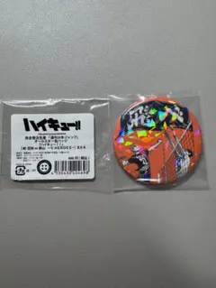 2026年最新】日向翔陽缶バッジの人気アイテム - メルカリ