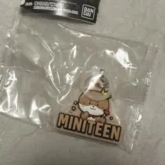 2026年最新】Miniteen seventeen ディノの人気アイテム - メルカリ