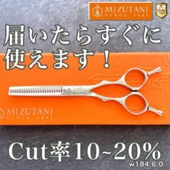2026年最新】ミズタニシザー セニングの人気アイテム - メルカリ