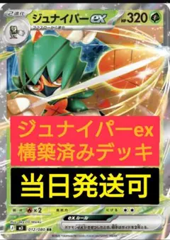 2026年最新】ジュナイパ プレイマットの人気アイテム - メルカリ