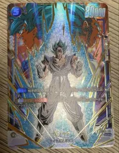 2026年最新】ベジット SCR fb02-139の人気アイテム - メルカリ