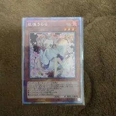 2026年最新】うらら 25thの人気アイテム - メルカリ