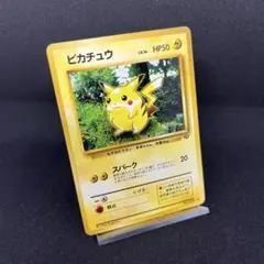 2026年最新】ジャングルピカチュウの人気アイテム - メルカリ