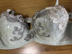 2026年最新】ワコールサルートc75の人気アイテム - メルカリ