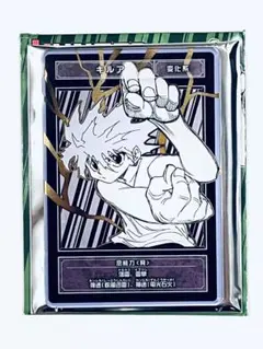 2026年最新】ステータスカードコレクション ハンターハンターの人気