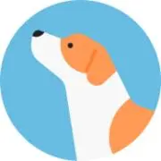 138578969.jpg?1728325226