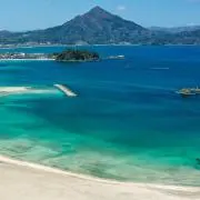 江戸時代 森徹山 真筆 水中鴨 掛軸 共箱付 茶掛 索丸山応挙 - メルカリ