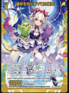 Z/Xゼクス竜の姫君 JOKER UR G36-T58