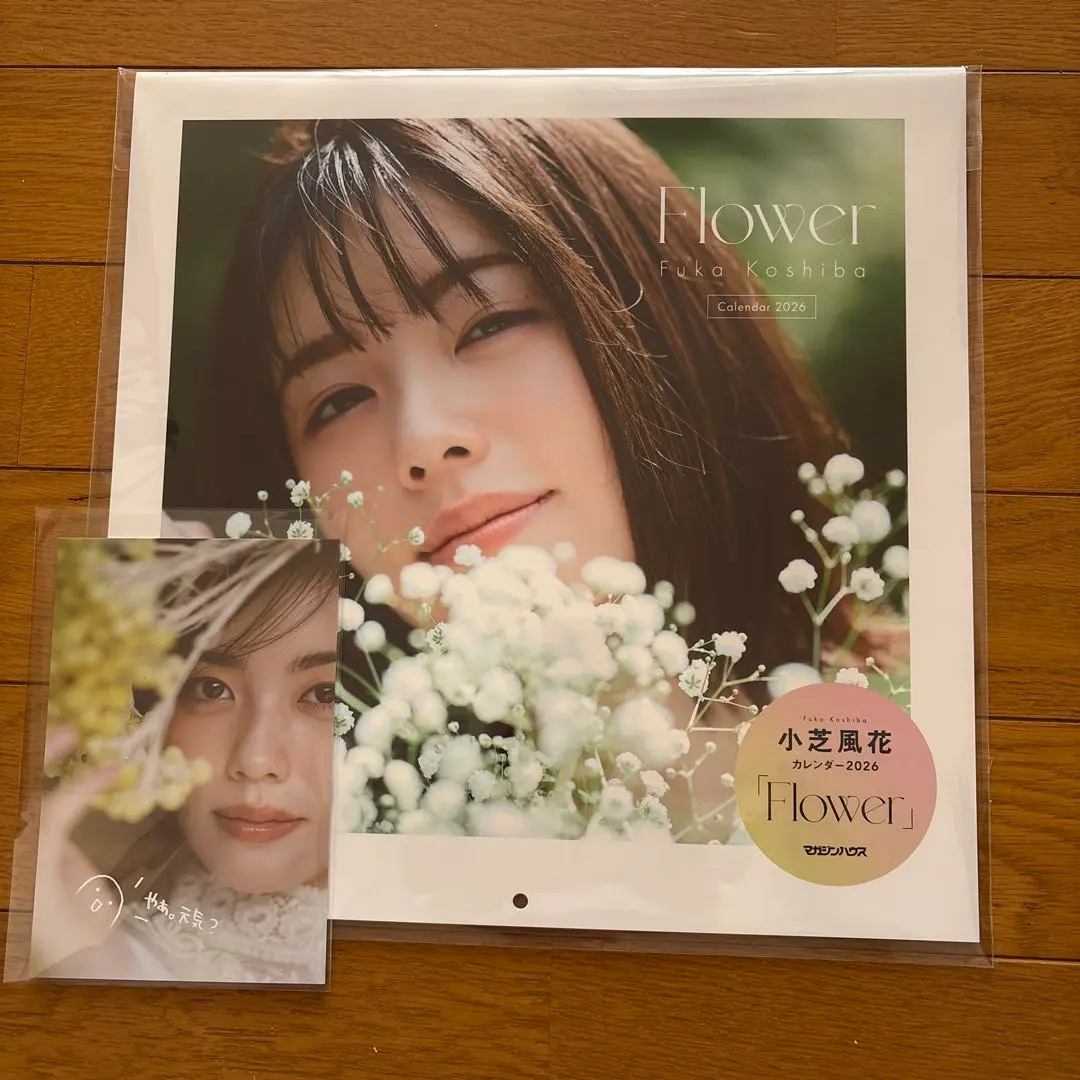 2026年最新】小芝風花 カードの人気アイテム - メルカリ