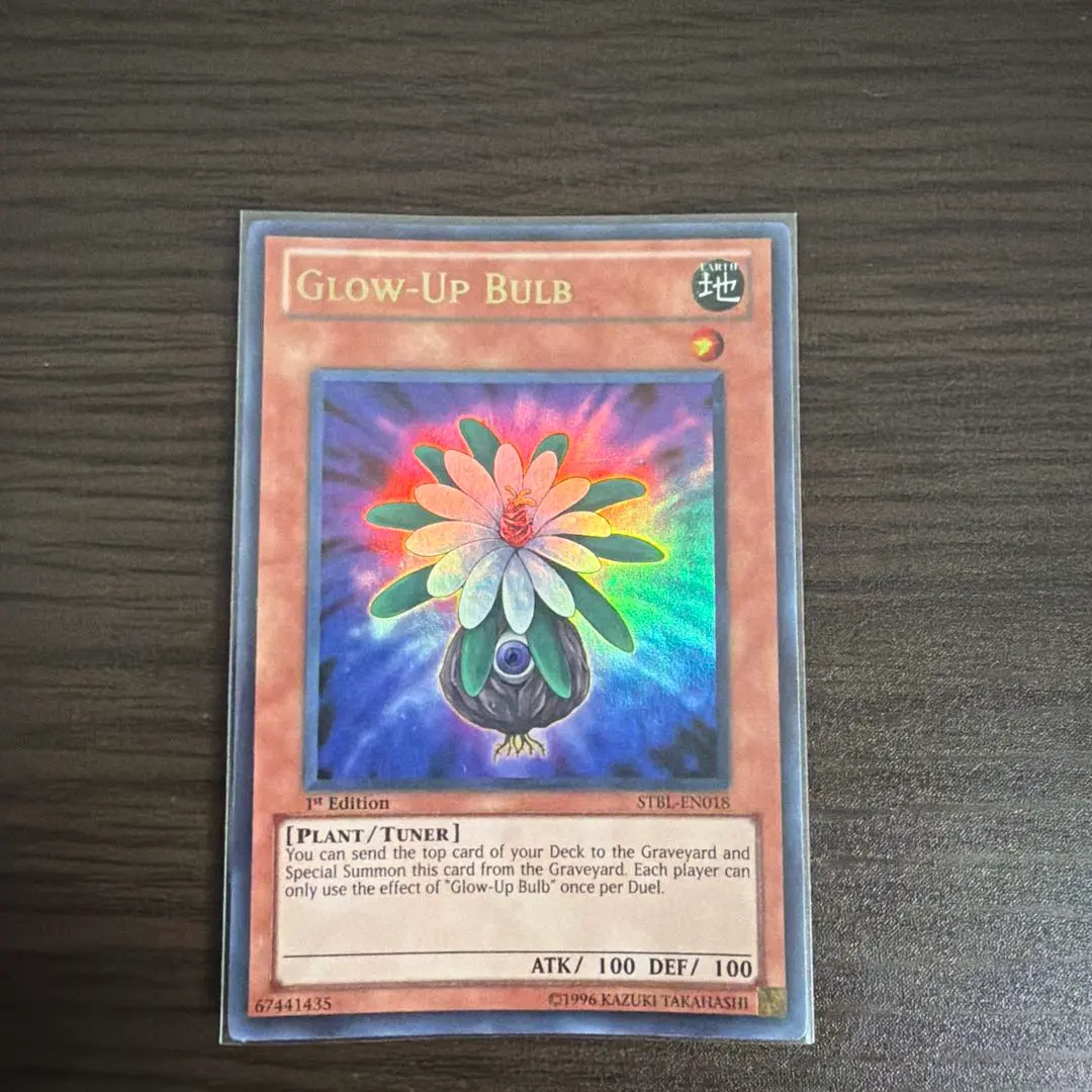 2026年最新】グローアップバルブ 英語の人気アイテム - メルカリ