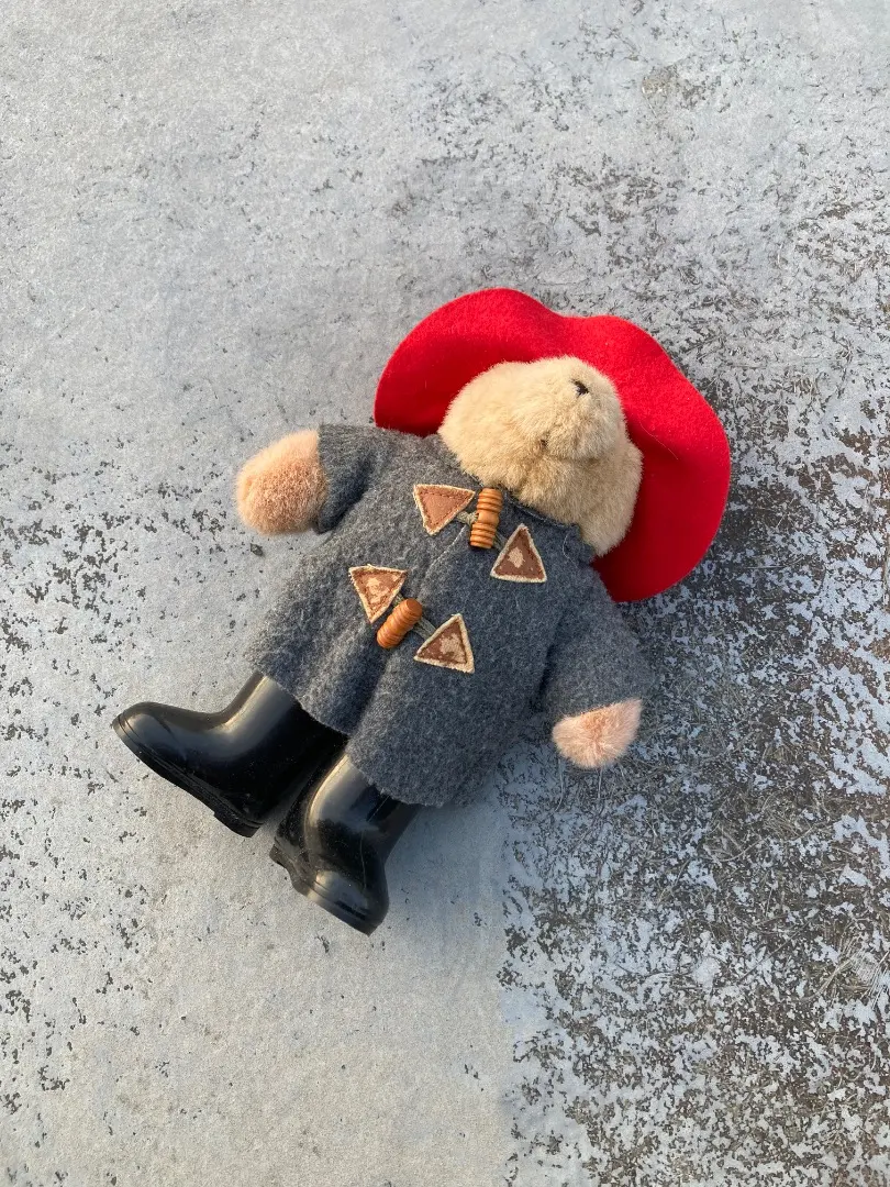 冬準備 【超希少】160cm！エデントイズ社 パディントンベア 超巨大