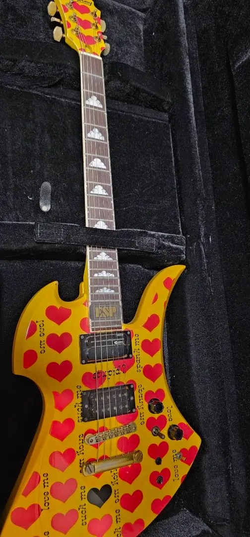 2026年最新】fernandes mg ハードケースの人気アイテム - メルカリ