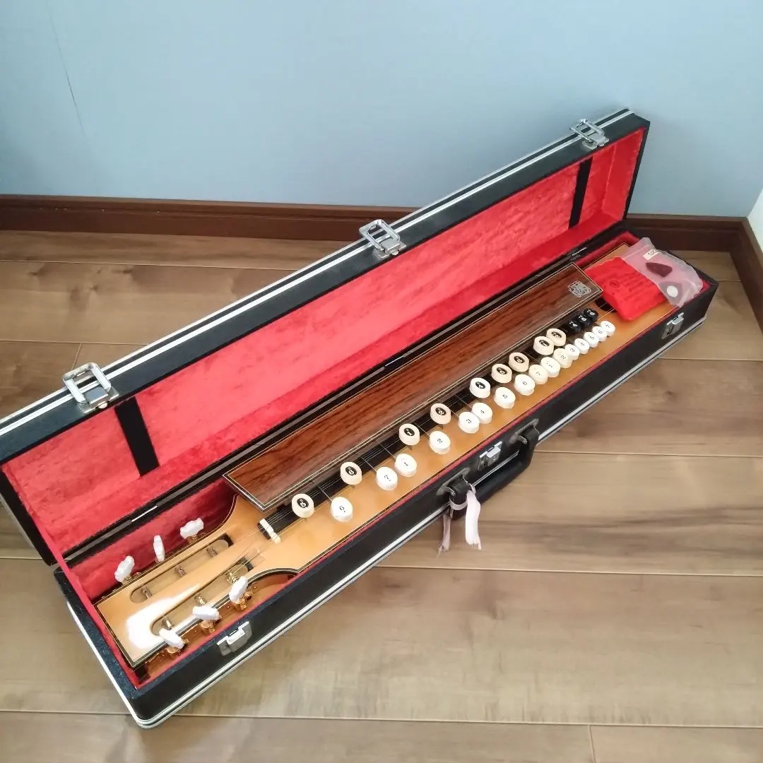 2026年最新】菊八重 大正琴の人気アイテム - メルカリ