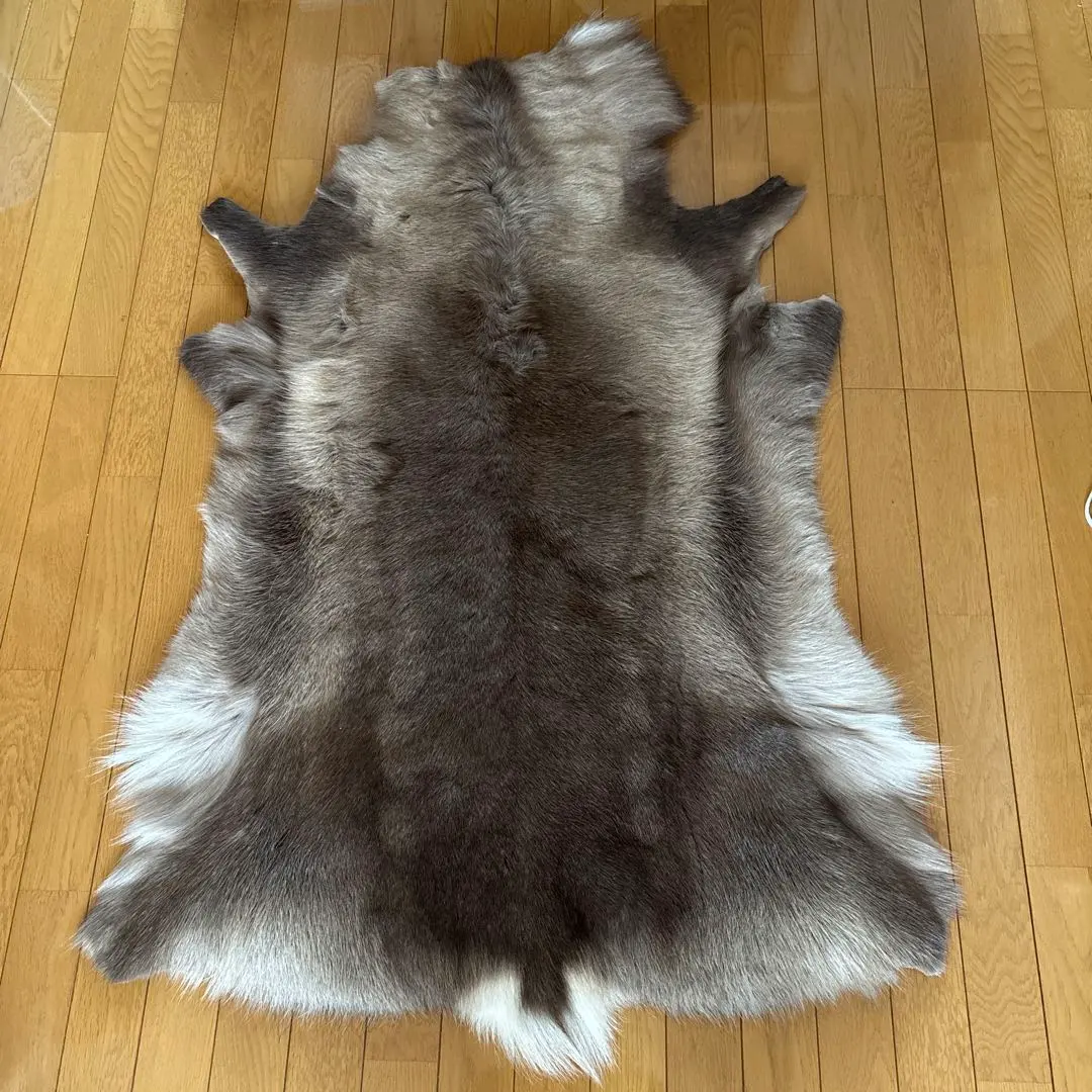 2026年最新】トナカイ 毛皮の人気アイテム - メルカリ