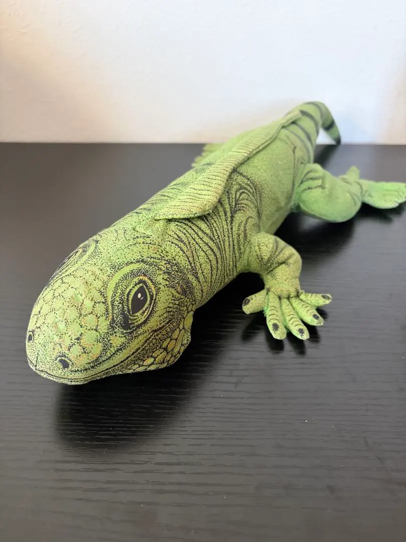 2026年最新】イグアナ ぬいぐるみの人気アイテム - メルカリ