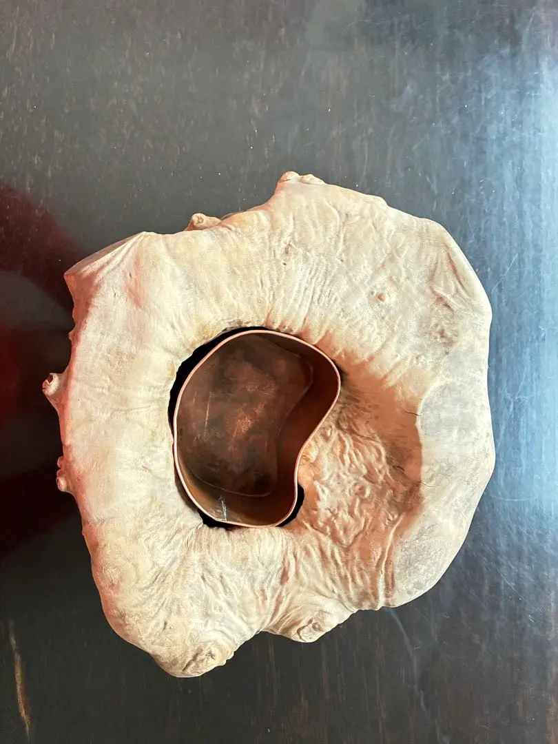 2026年最新】瘤木の人気アイテム - メルカリ