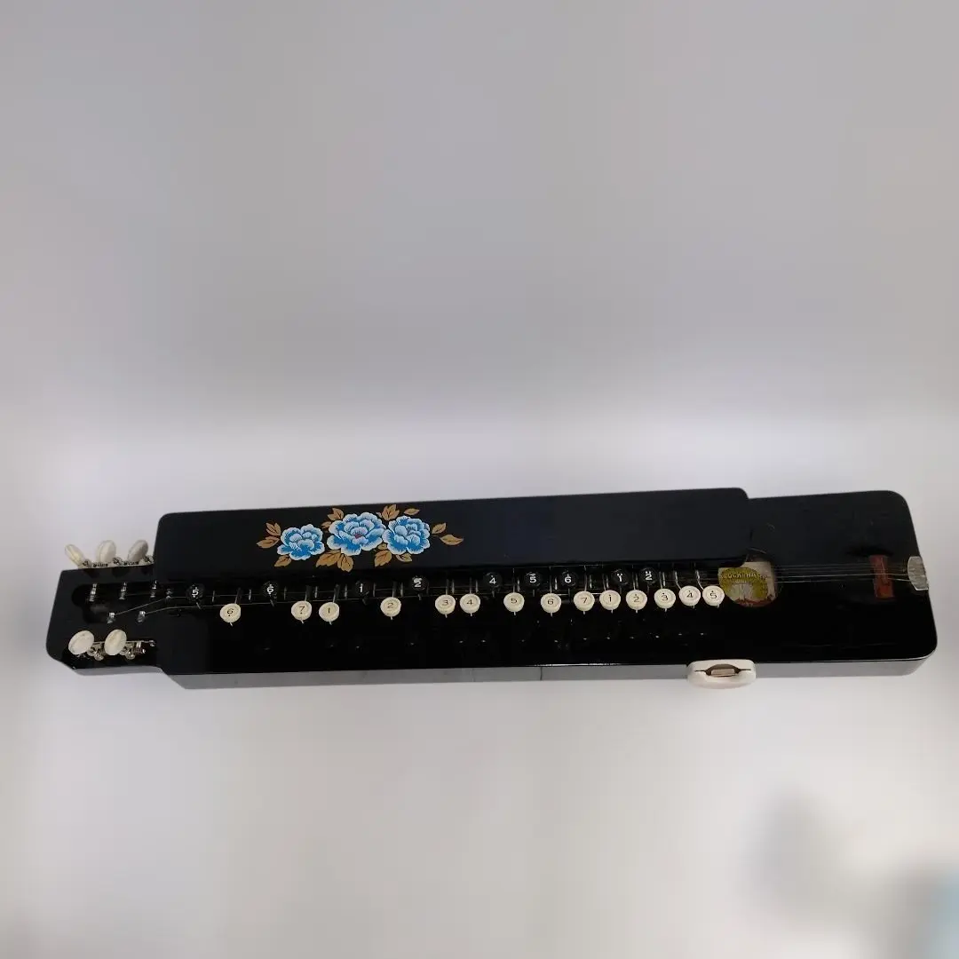 2026年最新】ピーコックハープ 大正琴の人気アイテム - メルカリ