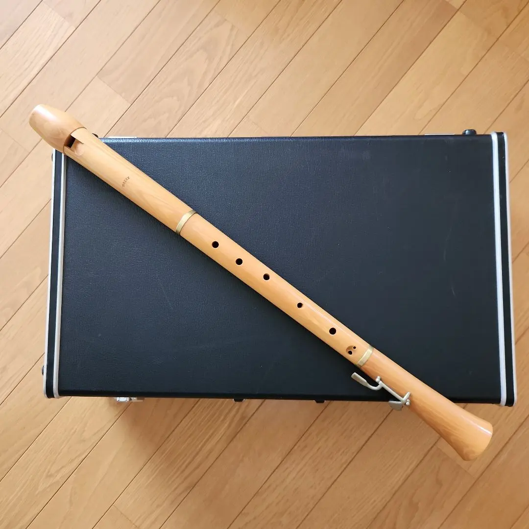 2026年最新】メック リコーダーの人気アイテム - メルカリ