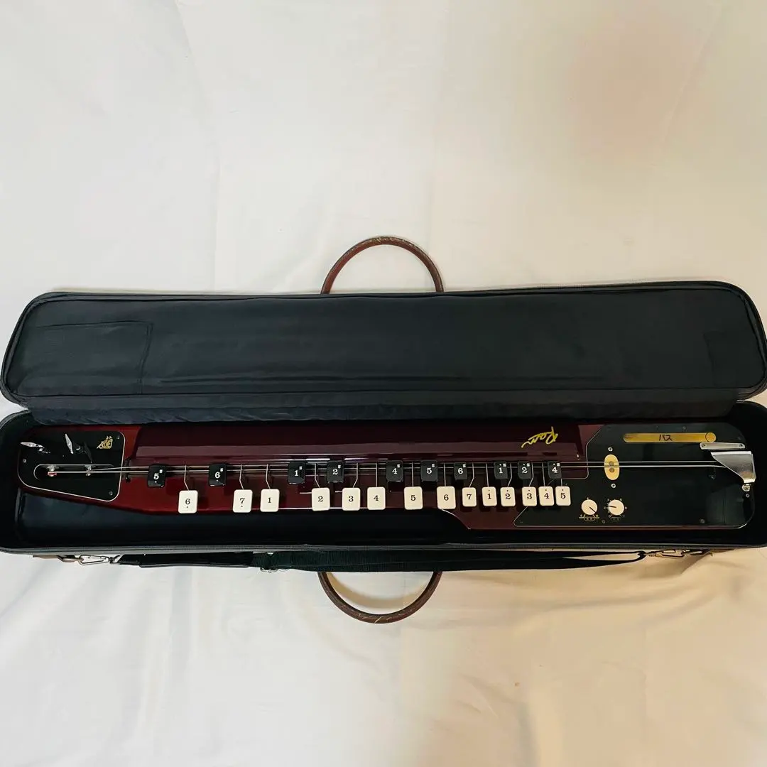 2026年最新】スズキ大正琴 蘭の人気アイテム - メルカリ