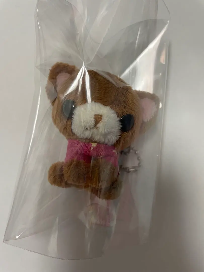 2026年最新】ちわわんこ サンエックスの人気アイテム - メルカリ