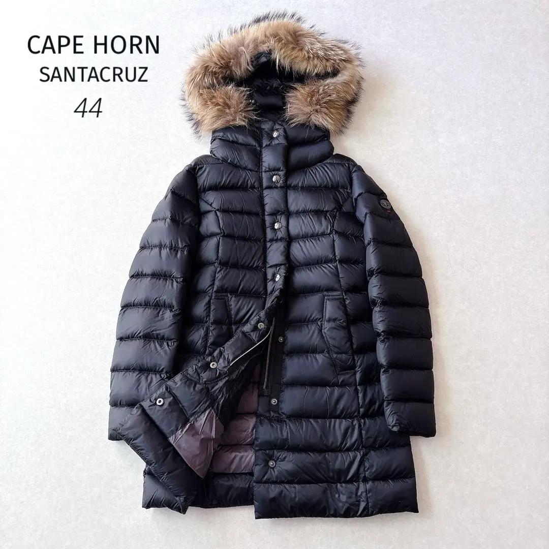 2026年最新】ケープホーン サンタクルス 44の人気アイテム - メルカリ