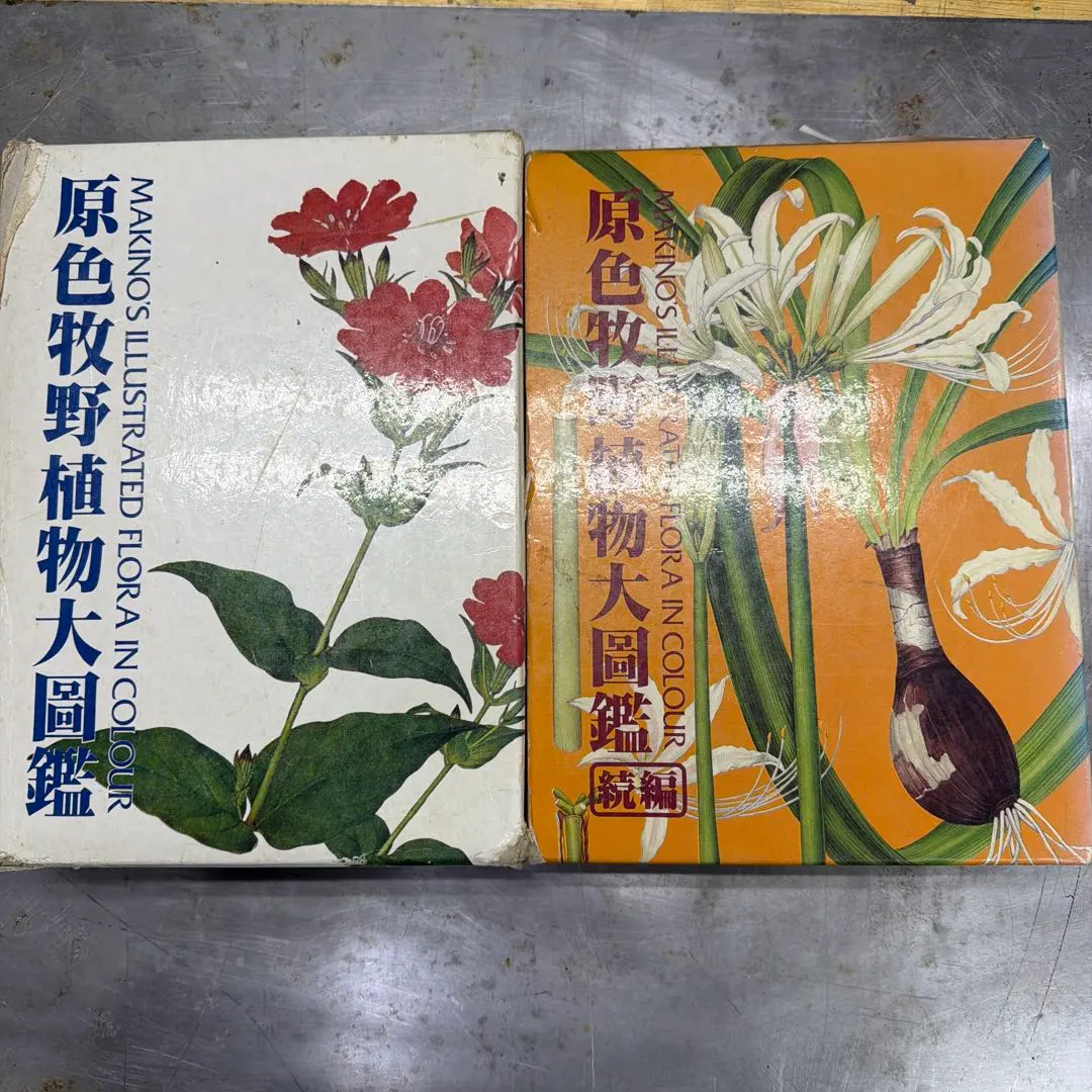 2026年最新】原色牧野植物大図鑑の人気アイテム - メルカリ