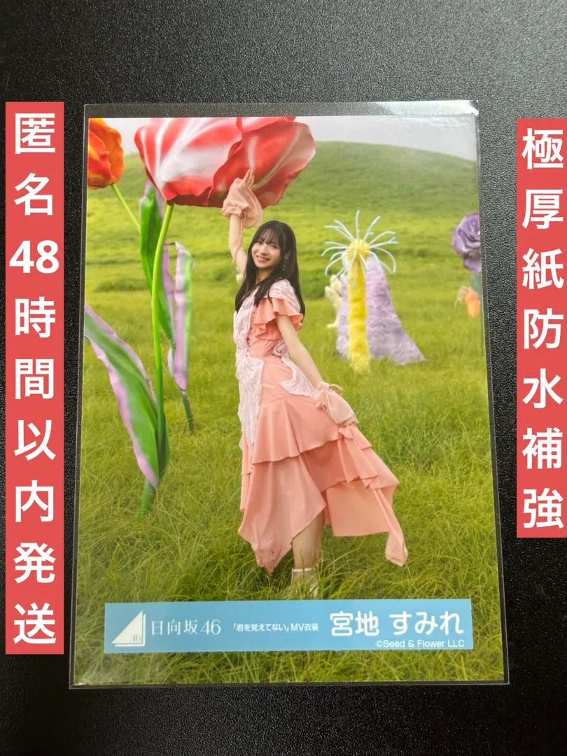 2026年最新】石森璃花 サインの人気アイテム - メルカリ