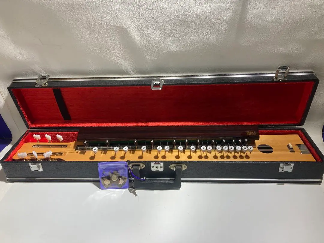 2026年最新】菊八重 大正琴の人気アイテム - メルカリ