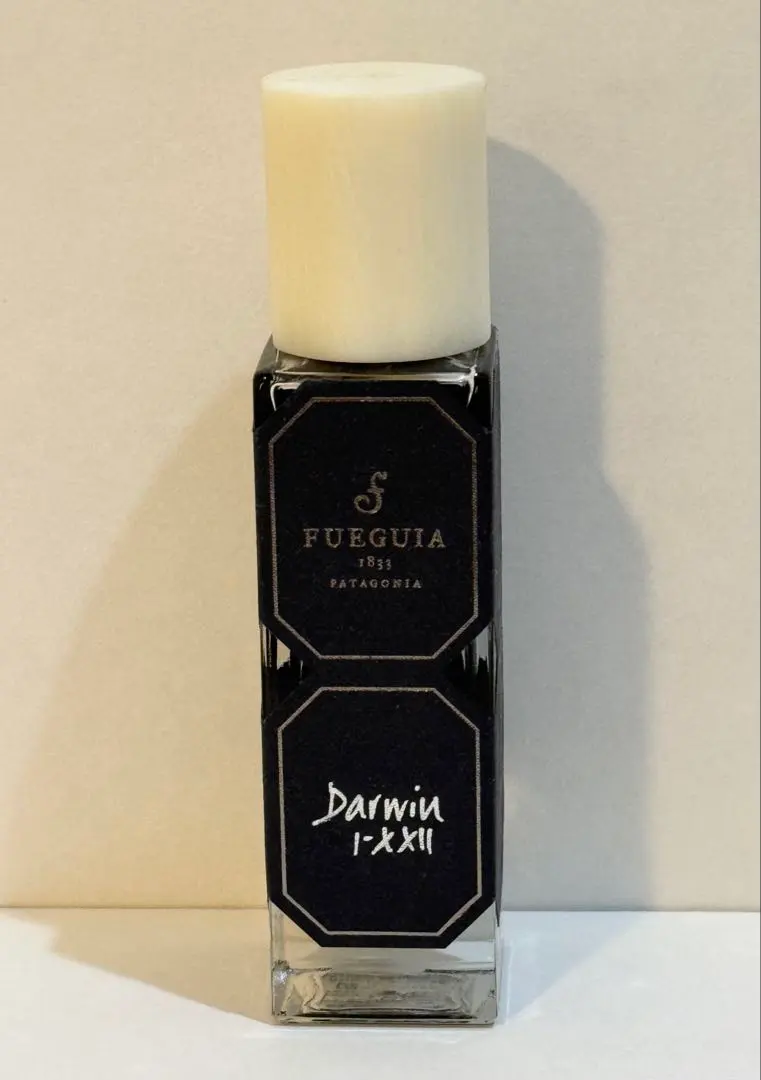 2026年最新】フエギア ダーウィンの人気アイテム - メルカリ