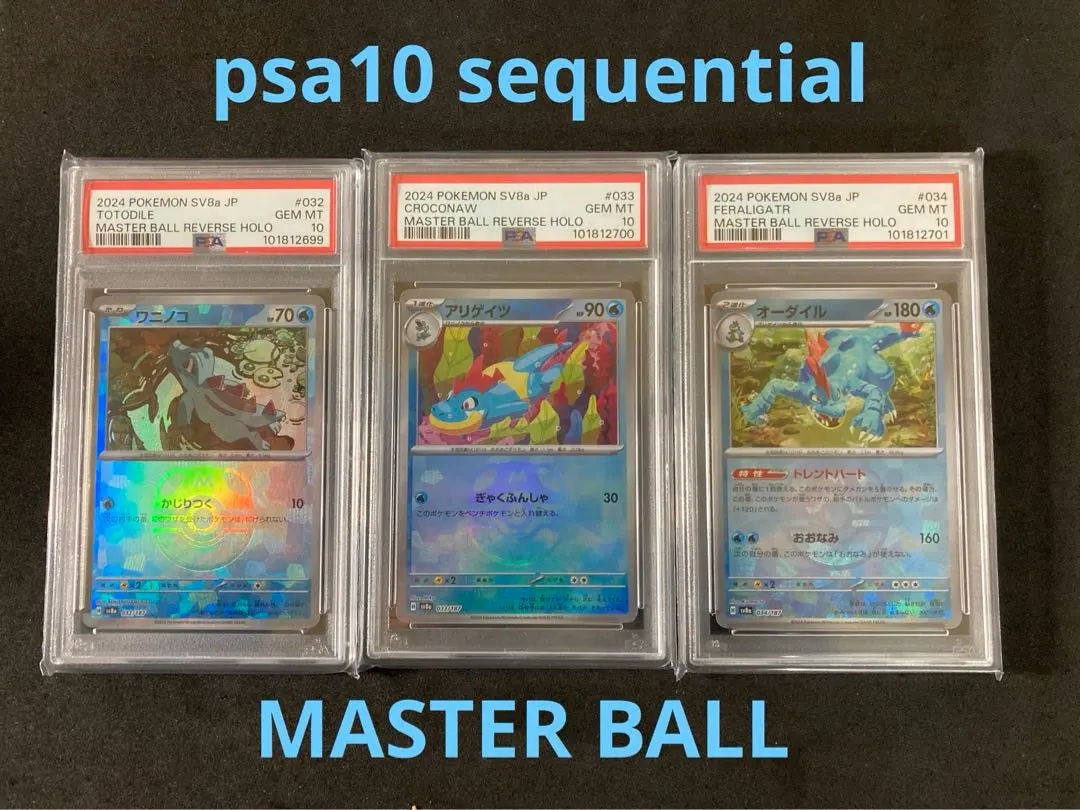 2026年最新】わるいオーダイル psaの人気アイテム - メルカリ