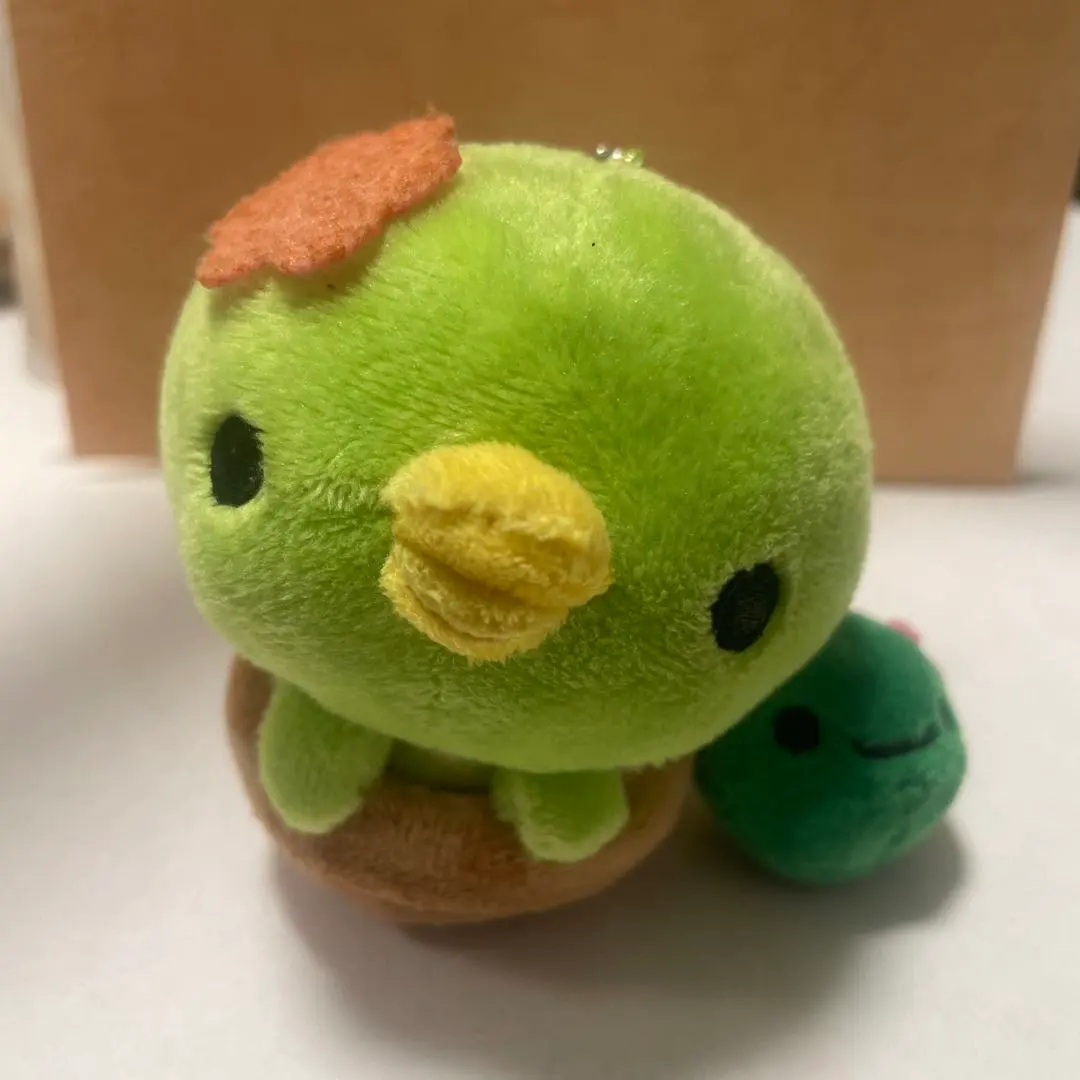 2026年最新】サボカッパぬいぐるみの人気アイテム - メルカリ