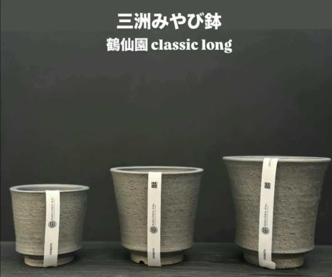 2026年最新】鶴仙園 みやび鉢の人気アイテム - メルカリ