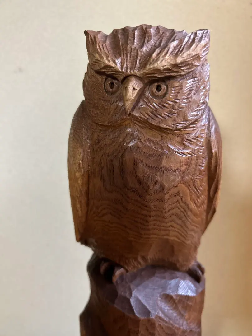 2026年最新】貞光 熊の人気アイテム - メルカリ