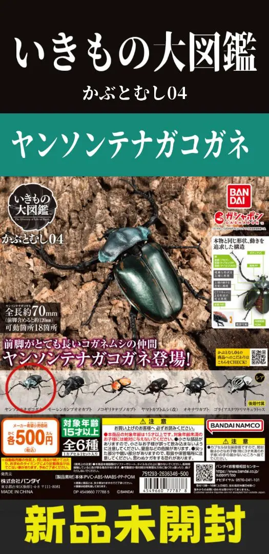 2026年最新】テナガコガネの人気アイテム - メルカリ